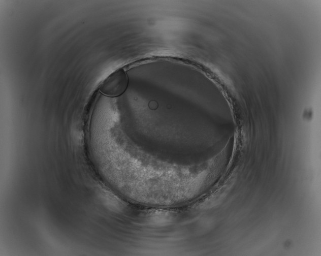 X0000101401266200807141148