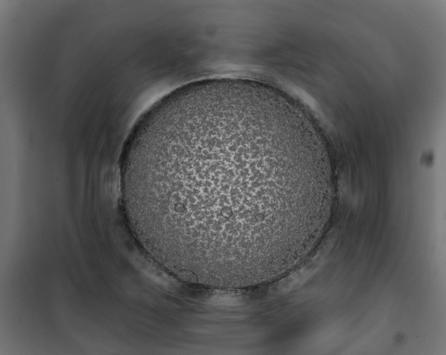 X0000101401267200807141148