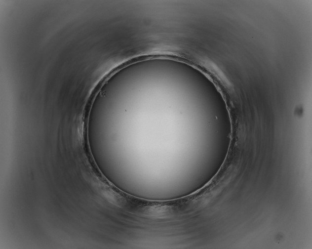 X0000101401268200807141148