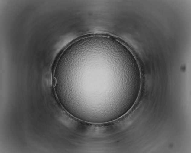 X0000101401269200807141148