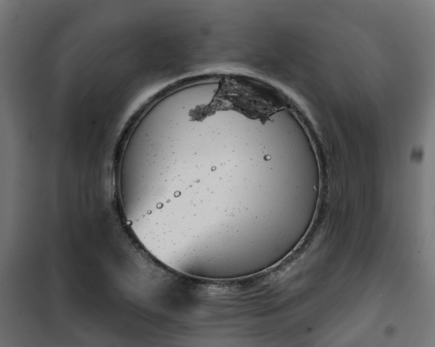 X0000101401271200807141148