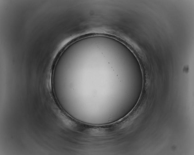 X0000101401272200807141148