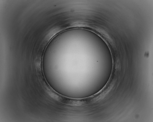 X0000101401273200807141148