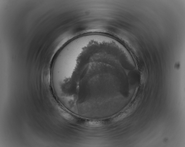 X0000101401274200807141148