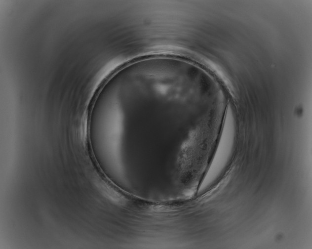 X0000101401275200807141148