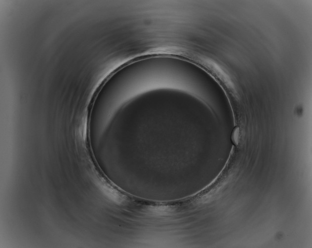 X0000101401276200807141148