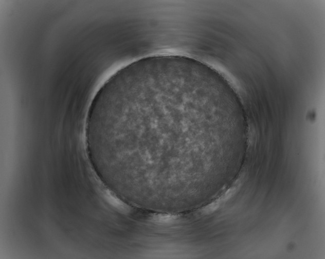 X0000101401278200807141148