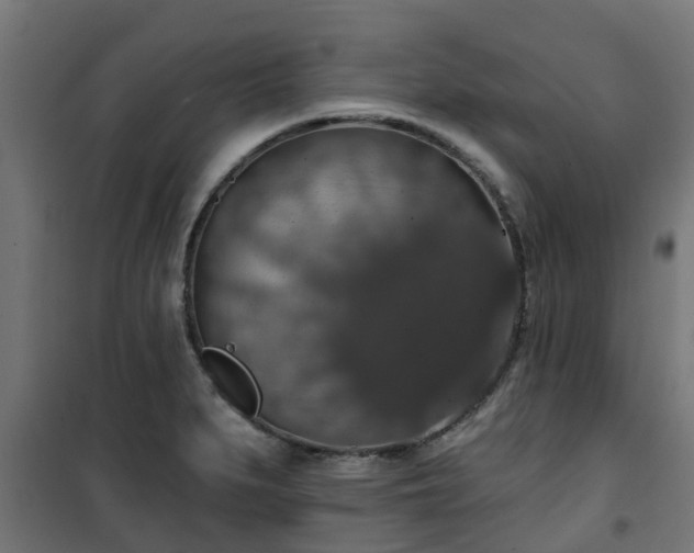 X0000101401279200807141148