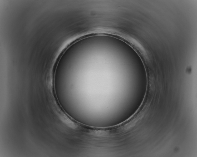 X0000101401280200807141148