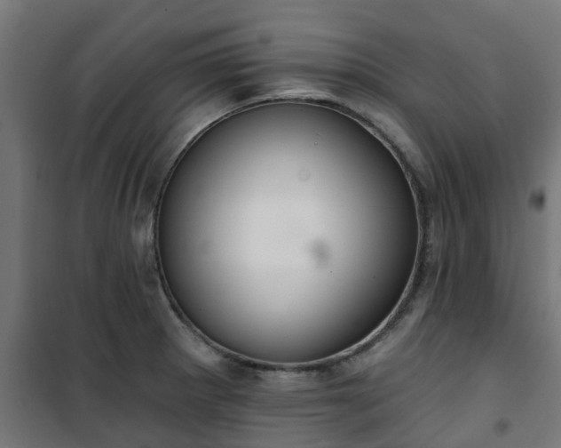 X0000101401281200807141148