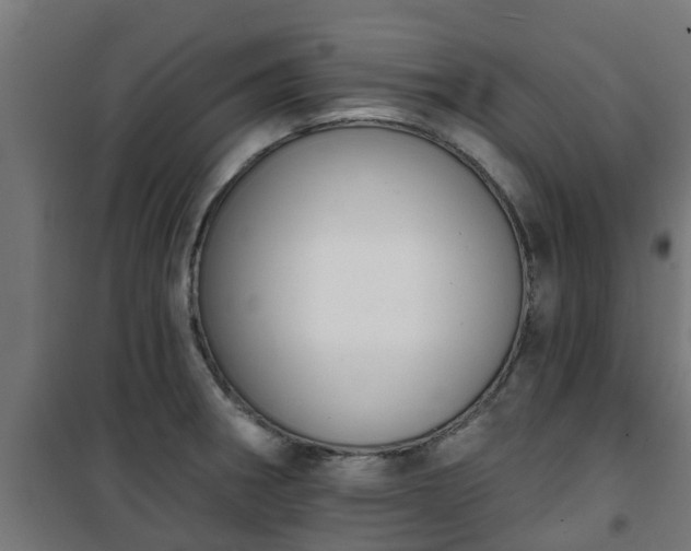 X0000101401282200807141148