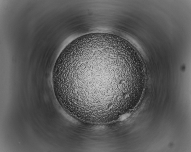 X0000101401283200807141148