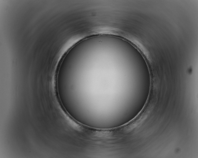 X0000101401285200807141148