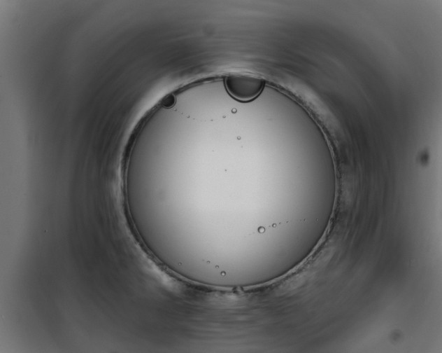 X0000101401286200807141148