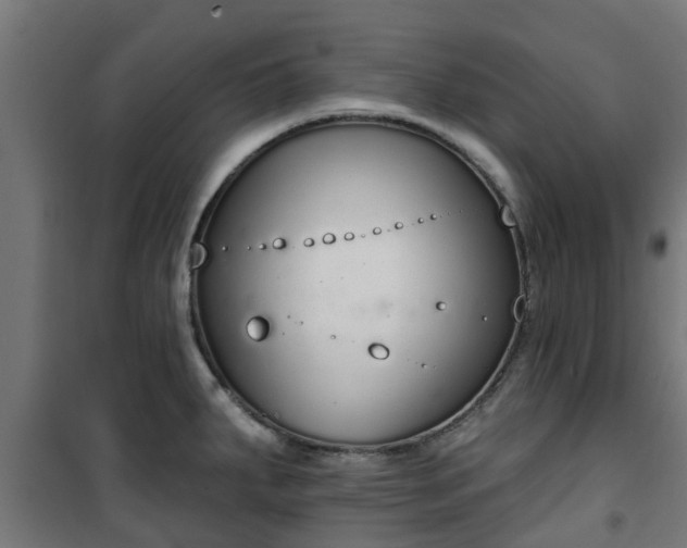 X0000101401287200807141148