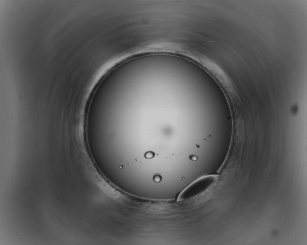 X0000101401288200807141148