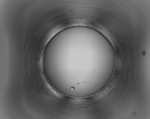 X0000101401290200807141148