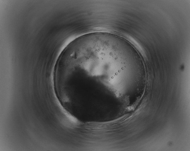 X0000101401291200807141148