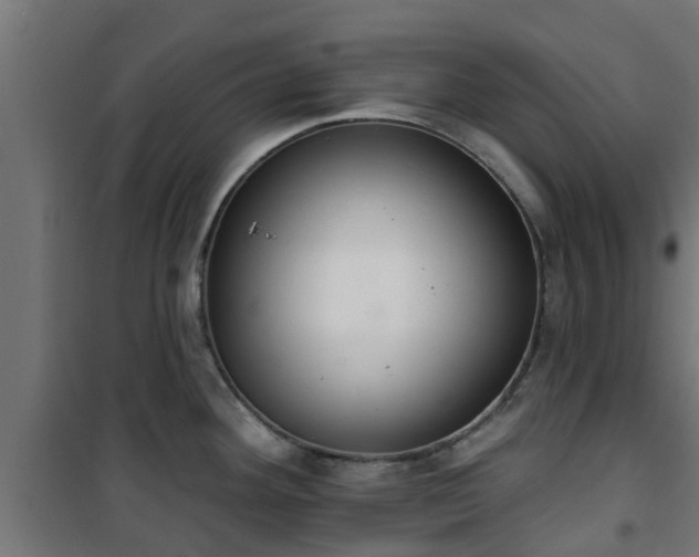 X0000101401292200807141148