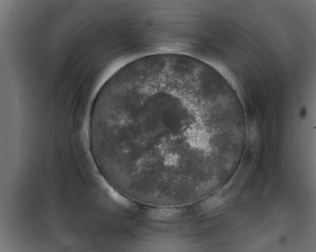 X0000101401294200807141148