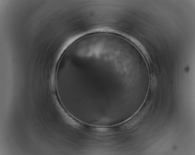 X0000101401295200807141148