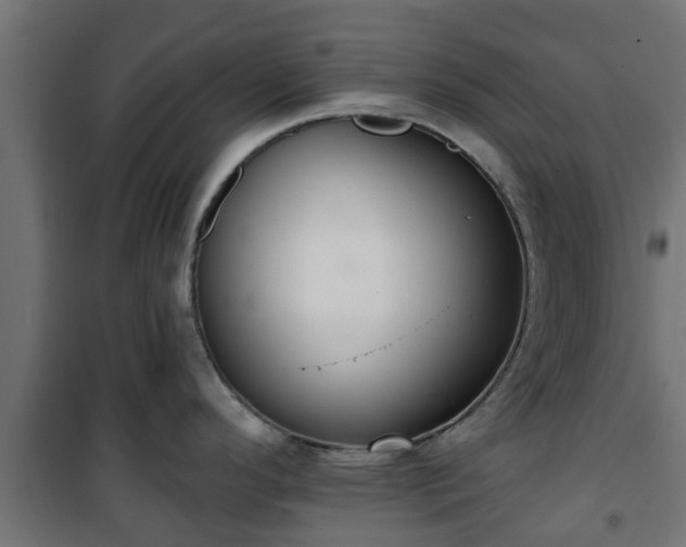 X0000101401296200807141148