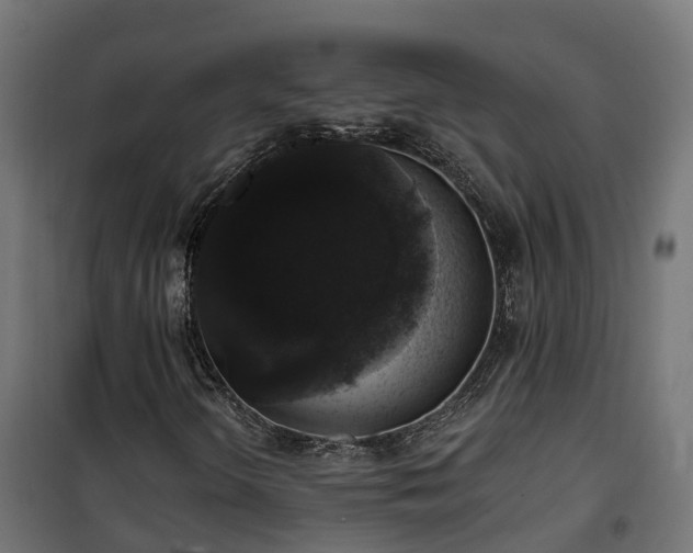 X0000101401298200807141147