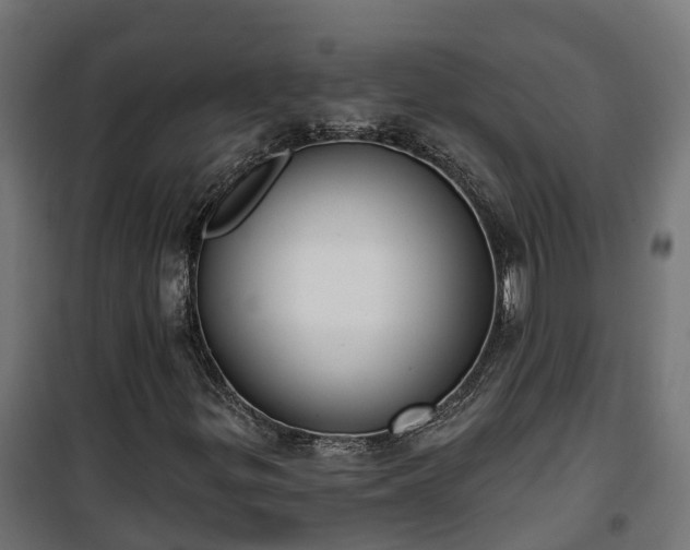 X0000101401299200807141147