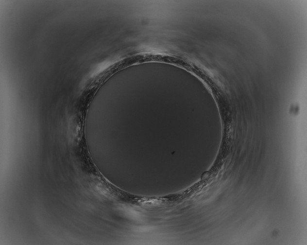 X0000101401303200807141147