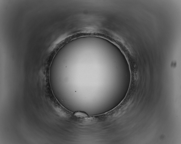 X0000101401304200807141147