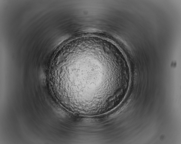 X0000101401305200807141147