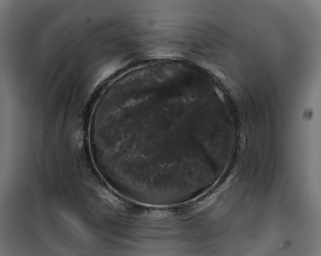 X0000101401306200807141147