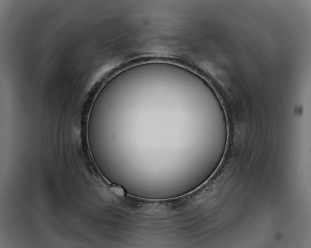 X0000101401307200807141147