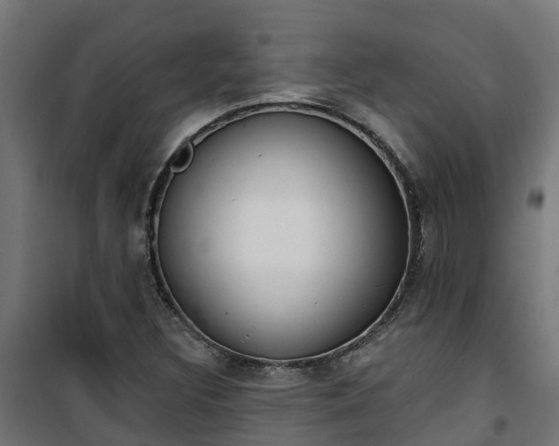 X0000101401308200807141147