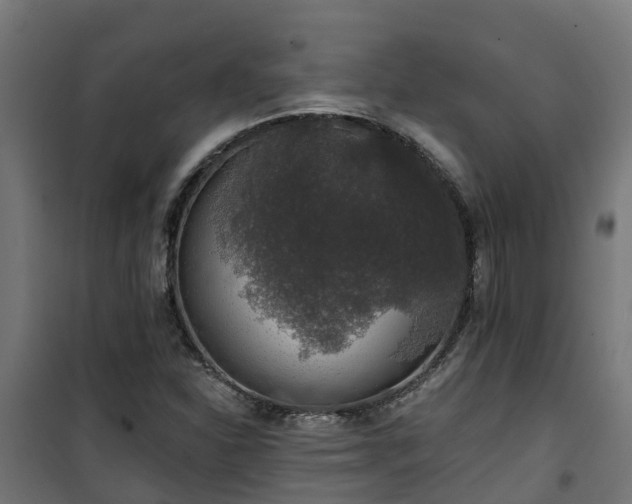 X0000101401310200807141147