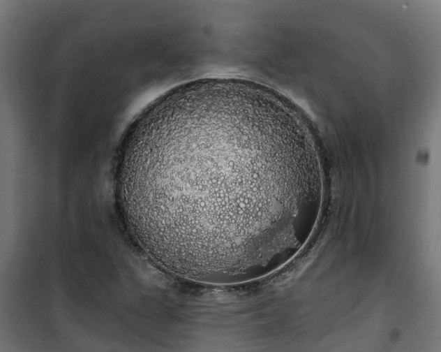 X0000101401311200807141147