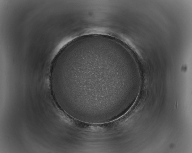 X0000101401312200807141147