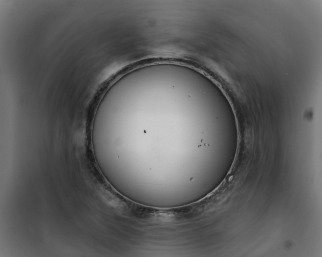 X0000101401315200807141147