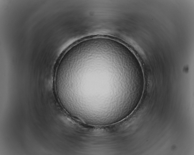 X0000101401316200807141147