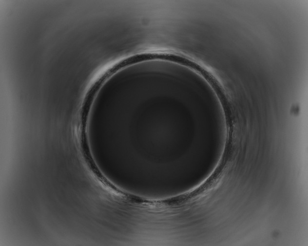 X0000101401319200807141147