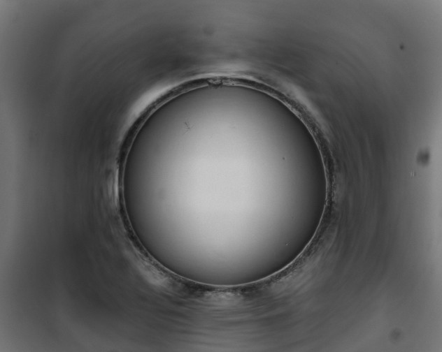 X0000101401320200807141147