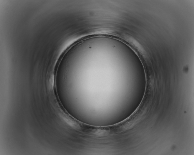 X0000101401324200807141147