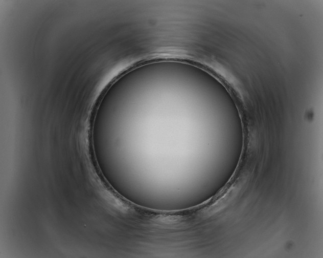 X0000101401325200807141147