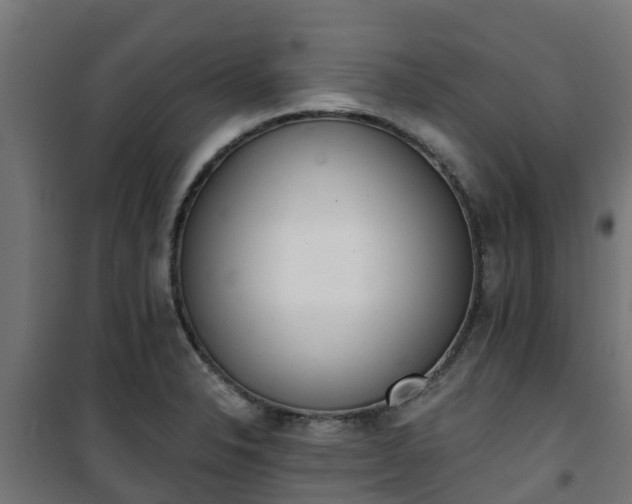 X0000101401326200807141147