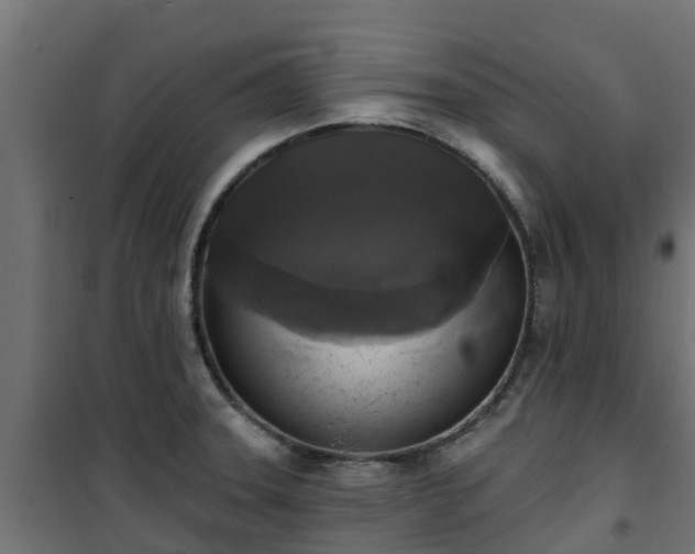 X0000101401331200807141147