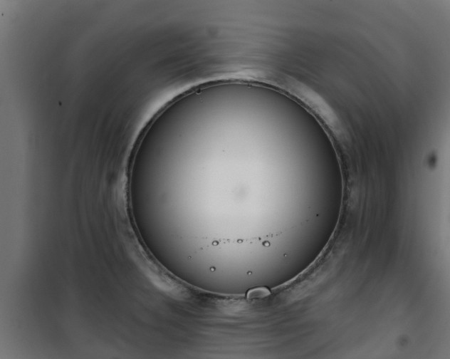 X0000101401332200807141147