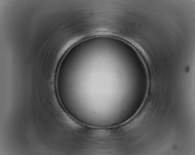 X0000101401333200807141147