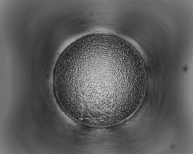 X0000101401335200807141147