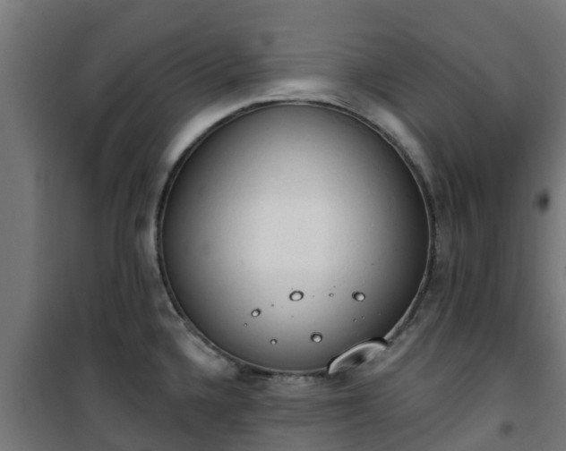 X0000101401336200807141147