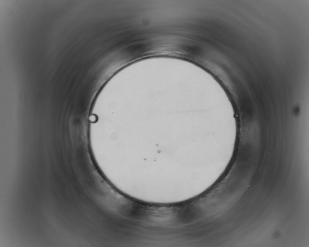 X0000101401338200807141148